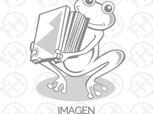 Special Collection Box – Lugia ex